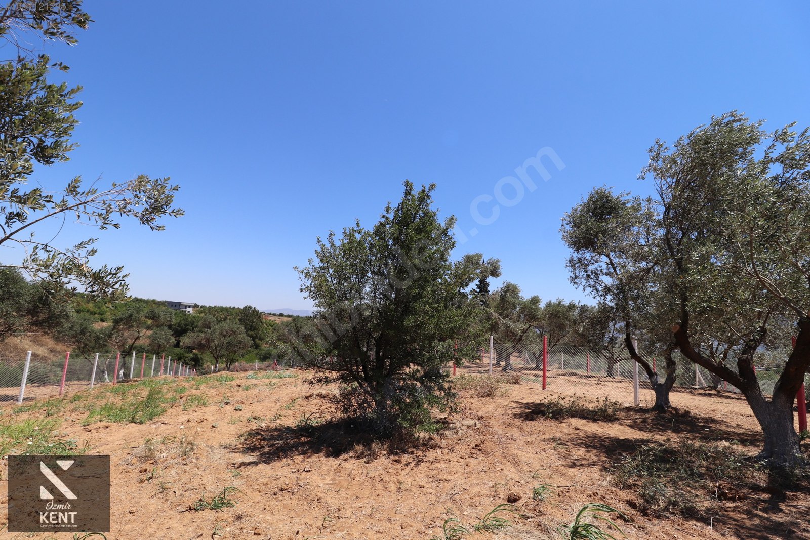 Kemalpaşa Çambel Satılık Bahçe 1.528 m2 - İZMİR KEMALPAŞA fotoğraf 28
