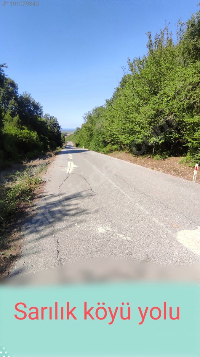 sarılık köyü satılık tarla - SAMSUN ALAÇAM fotoğraf 2