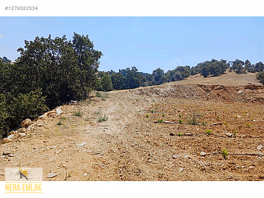 SARIGÖL YENİKÖY'DE ARAÇ TAKASLI UYGUN TEK TAPU 12.190m2 TARLA - MANİSA SARIGÖL fotoğraf 8