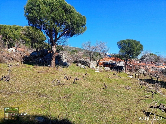 KOZAK YAYLASI HACIHAMZALAR MAH DE 736 M2 ARSA - İZMİR BERGAMA fotoğraf 3