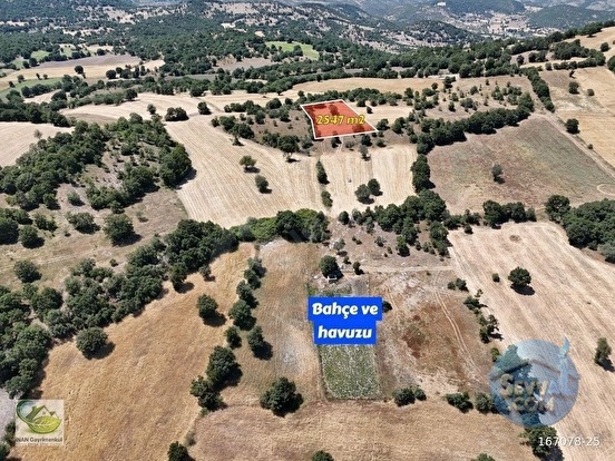 🚨 DURSUNBEY OSB YAKININDA 2.547 M² YATIRIMLIK VERİMLİ TARLA 🚨 - BALIKESİR DURSUNBEY fotoğraf 9