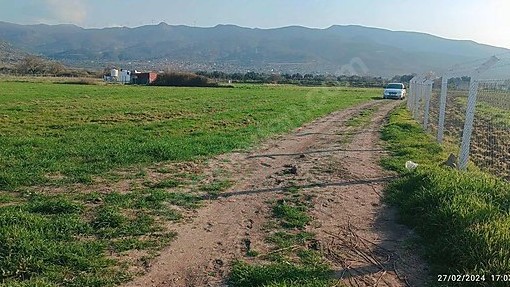 İZMİR ALİAĞA ÇITAK MAHALLESİ’NDE  4.125 M² ZEYTİN AĞAÇLI TARLA SATILIKTIR - İZMİR ALİAĞA fotoğraf 8