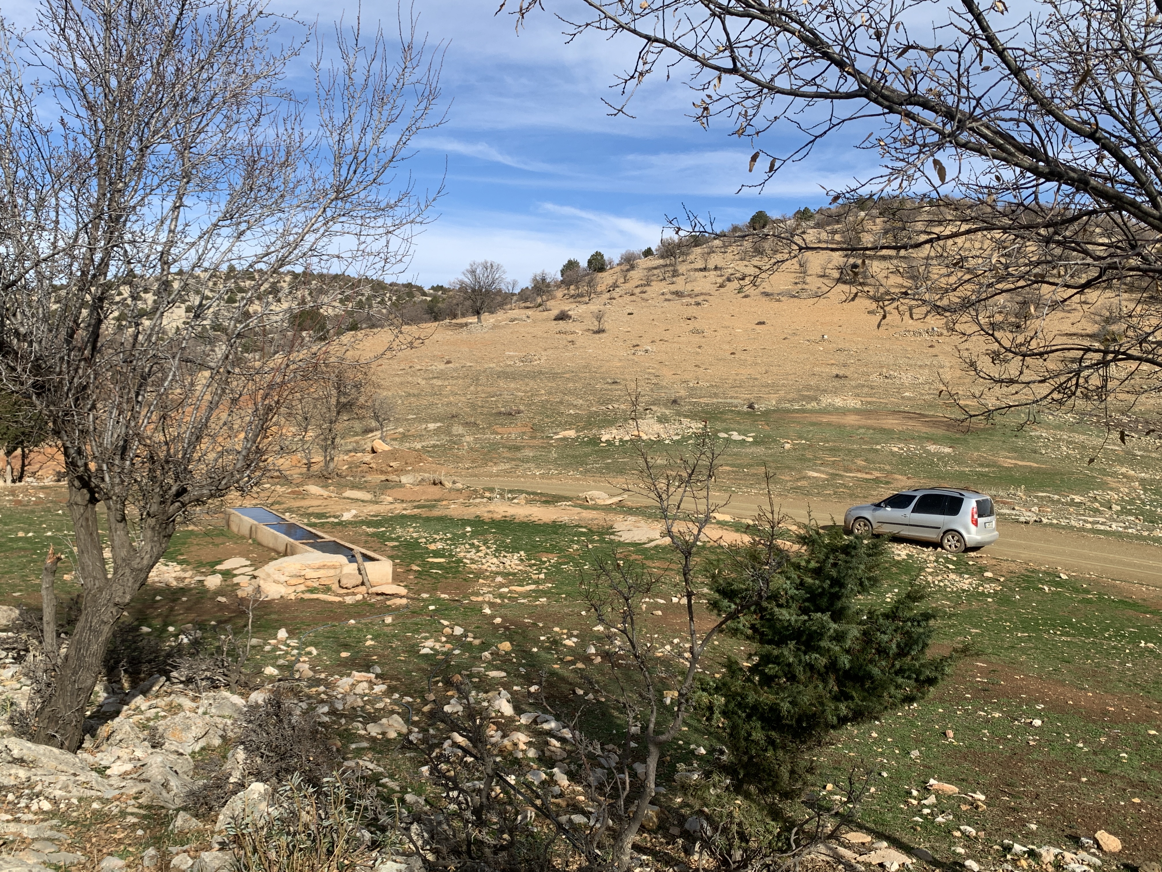 KONYA HADİM AŞAĞI EŞENLER KÖYÜNDE 442 M² TARLAMIZ SATILIKTIR. - KONYA HADİM fotoğraf 19