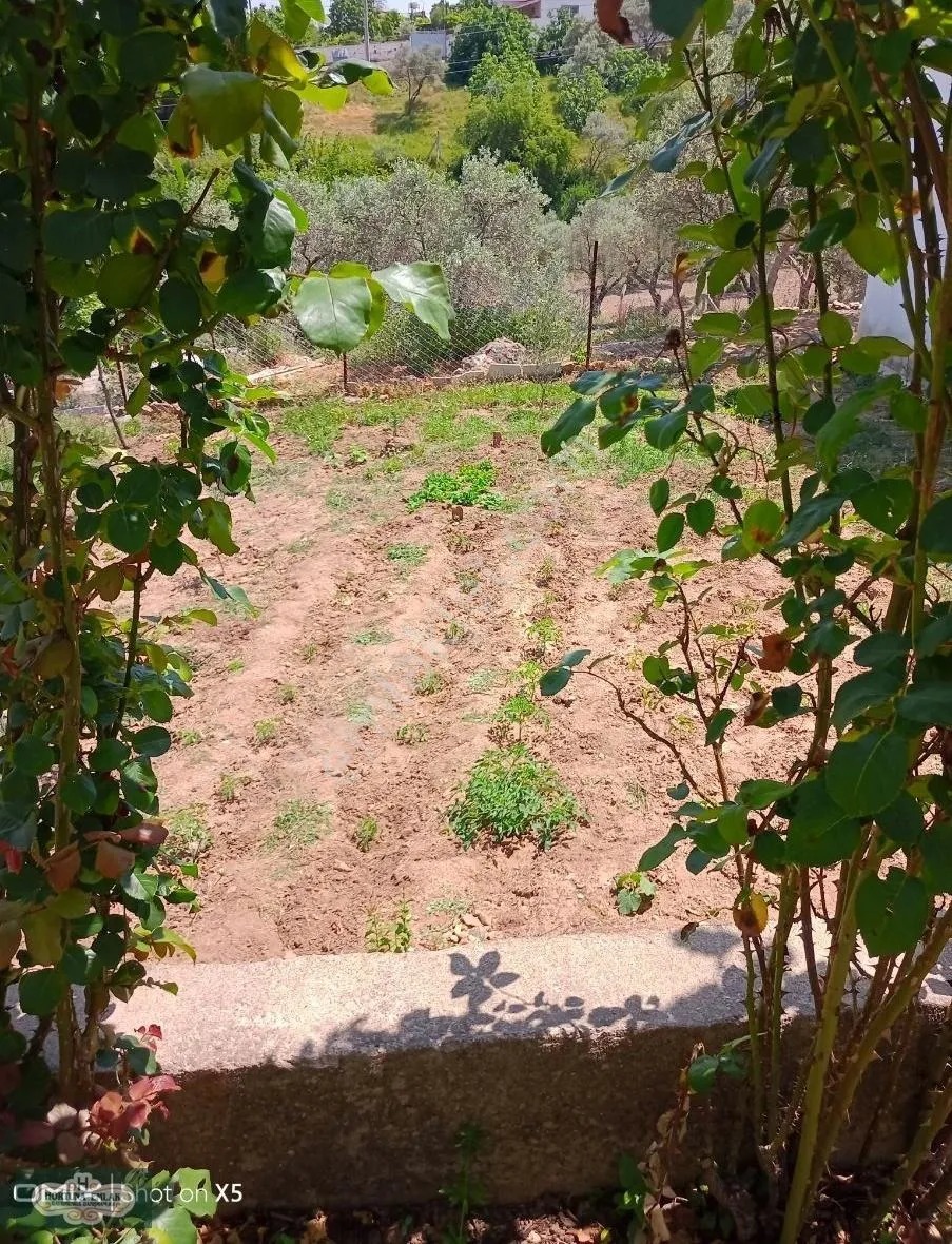 İzmir Torbalı Çamlıca Köyünde Köy Evi - İZMİR TORBALI fotoğraf 9