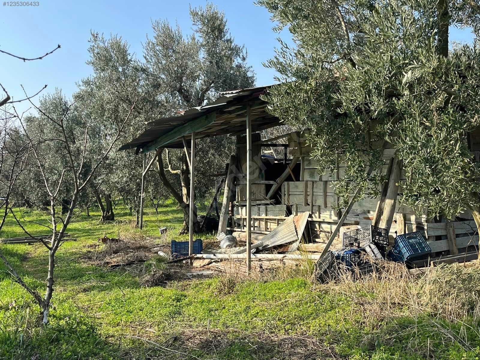 BURSA İZNİK ÖMERLİ MAHALLESİ'NDE  9.656 M² TARLAMIZ SATILIKTIR - BURSA İZNİK fotoğraf 20