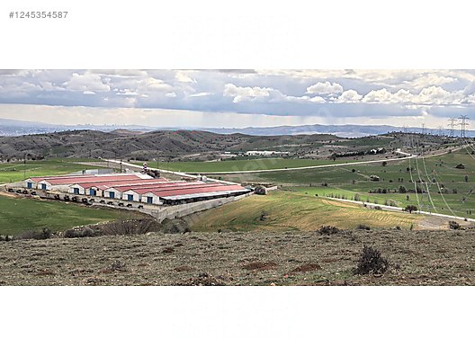 ANKARA ÇUBUK SIĞIRLIHACI KÖYÜNDE 5.461 M² TARLAMIZ SATILIKTIR - ANKARA ÇUBUK fotoğraf 3