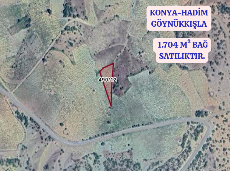 KONYA HADİM GÖYNÜKKIŞLA  KÖYÜNDE   1.704   M²  BAĞ  SATILIKTIR - KONYA HADİM fotoğraf 2