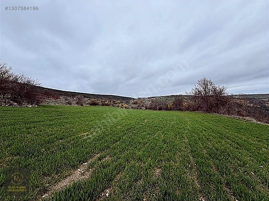 SAMSUN VEZİRKÖPRÜ ÇAMLIDERE'DE 6.670 M2 UYGUN ARSA - SAMSUN VEZİRKÖPRÜ fotoğraf 23
