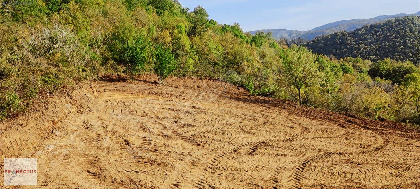 ÇAMDİBİ BOZKURT MAHALLESİNDE 665 M2 SATILIK TARLA - KOCAELİ KARAMÜRSEL fotoğraf 3