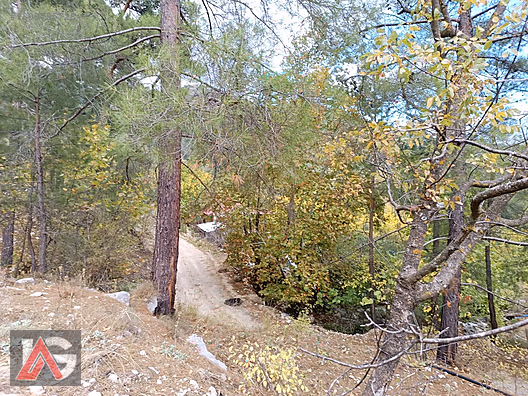 !!! FIRSAT TEKLİF !!! KARACAÖREN MAH. 564m2 ARAZİ UYGUN FİYAT !! - ANTALYA KUMLUCA fotoğraf 15