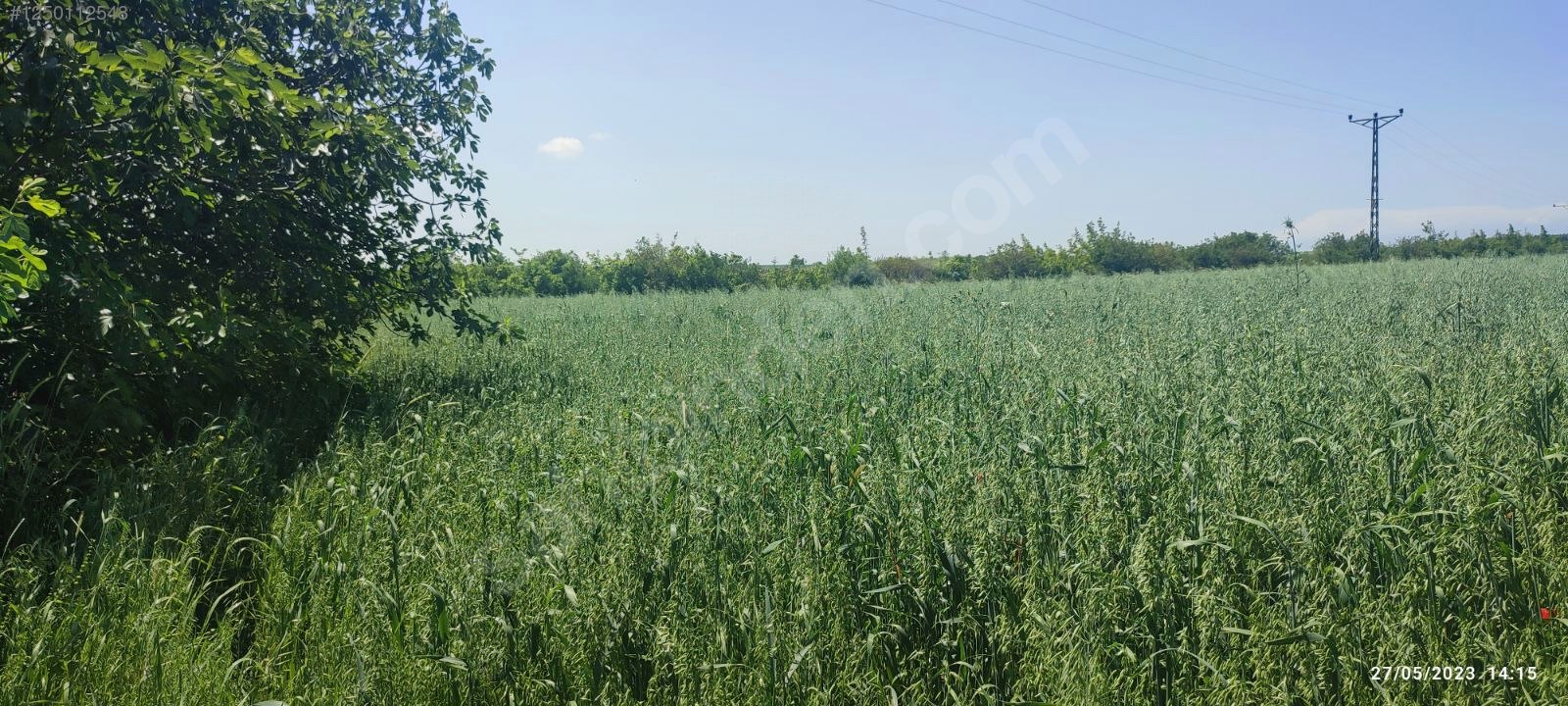 BURSA KARACABEY KARASU KÖYÜNDE 6.100  M² BAĞ SATILIKTIR - BURSA KARACABEY fotoğraf 7