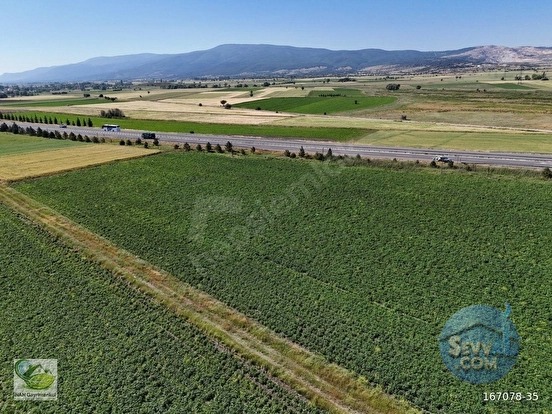 🚨 KÜTAHYA'DA ANAYOLA CEPHELİ 6.152 M² VERİMLİ TARLA 🚨 - KÜTAHYA MERKEZ fotoğraf 10