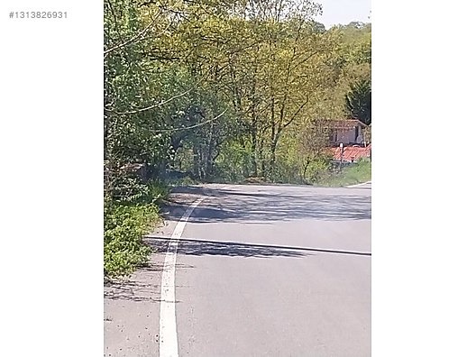 GEBZE AHATLI KÖYÜNDE 21 DÖNÜM ŞİLE SINIRI TARLA - KOCAELİ GEBZE fotoğraf 19