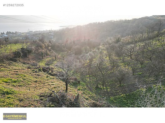 Kartepe Eşme'de Göl Manzaralı, %20 Konut İmarlı Satılık Arsa - KOCAELİ KARTEPE fotoğraf 4