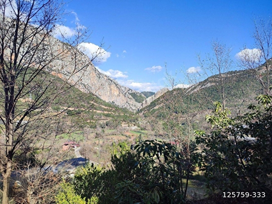 ANAMUR KORUCUKTA MÜSTAKİL SATILIK ZEYTİN VE AVOKADO BAHÇESİ - MERSİN ANAMUR fotoğraf 28
