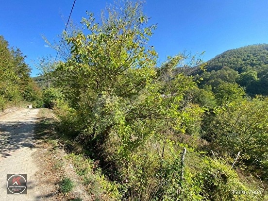 KARAMÜRSEL SENAİYEDE 999 M² KÖY İÇİ İMARLI SATILIK ARSA FIRSATI - KOCAELİ KARAMÜRSEL fotoğraf 10