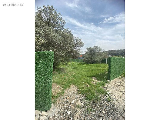 İZMİR-ALİAĞA-BOZKÖY’DE TARLA’NIN 300 M² ‘Sİ SATILIKTIR - İZMİR ALİAĞA fotoğraf 20