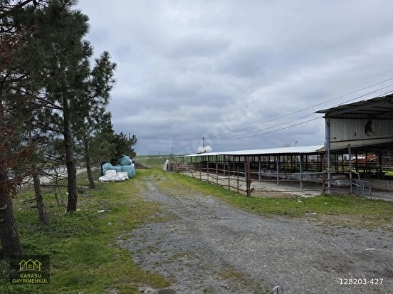 ARNAVUTKÖY DURSUNKÖY ENDÜLÜS CADDE CEPHELİ PARSELDE 230 M2 - İSTANBUL ARNAVUTKÖY fotoğraf 7