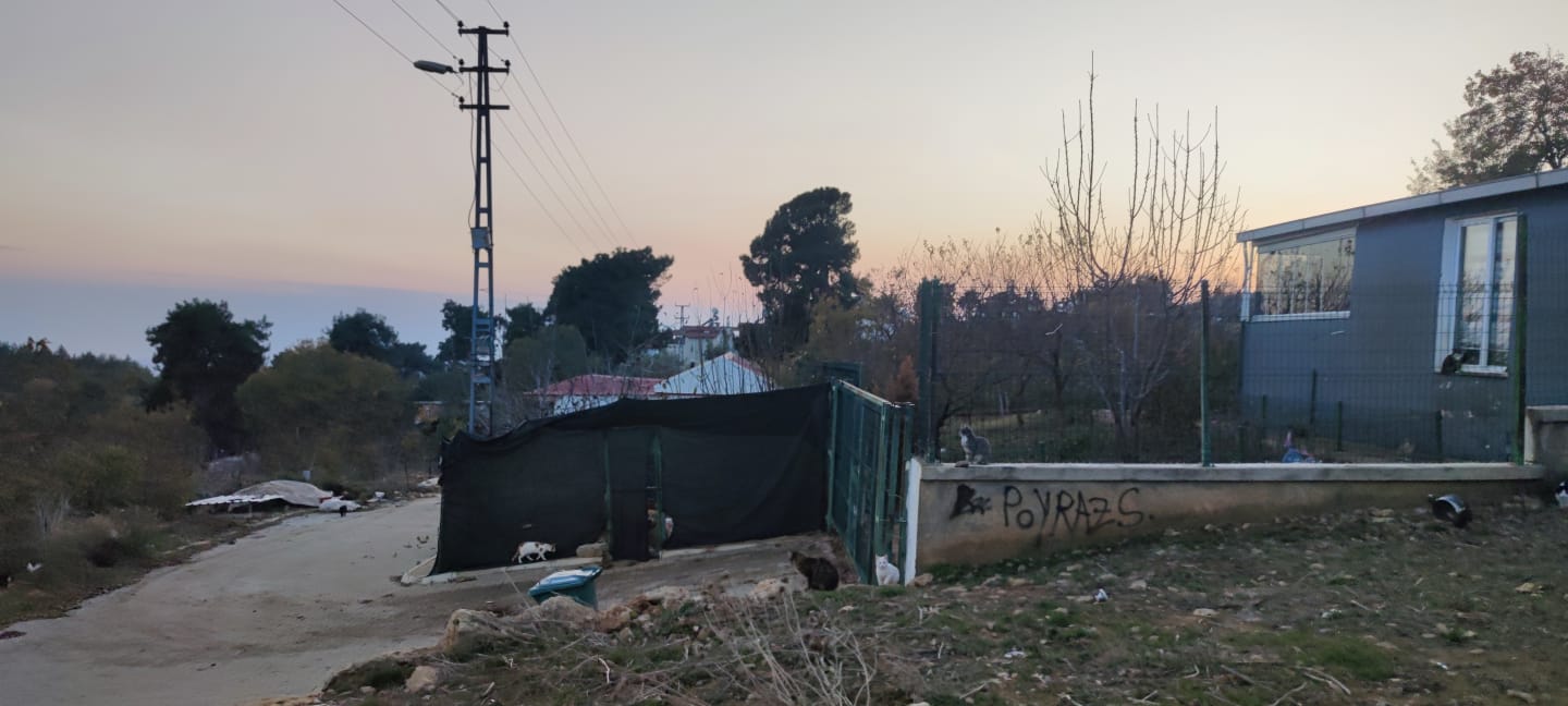 KARACA'DAN KOCAHAMZALI MAH. 838 m2 ARSA VE 2 ADET EV - MERSİN YENİŞEHİR fotoğraf 3
