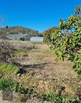 FETHİYE KARGI DA SATILIK 1.180M TARLA ELEKTRİK SU MEVCUT - MUĞLA FETHİYE fotoğraf 5