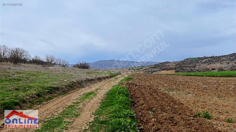 Araç Takaslı - BİLECİK YENİPAZAR fotoğraf 4