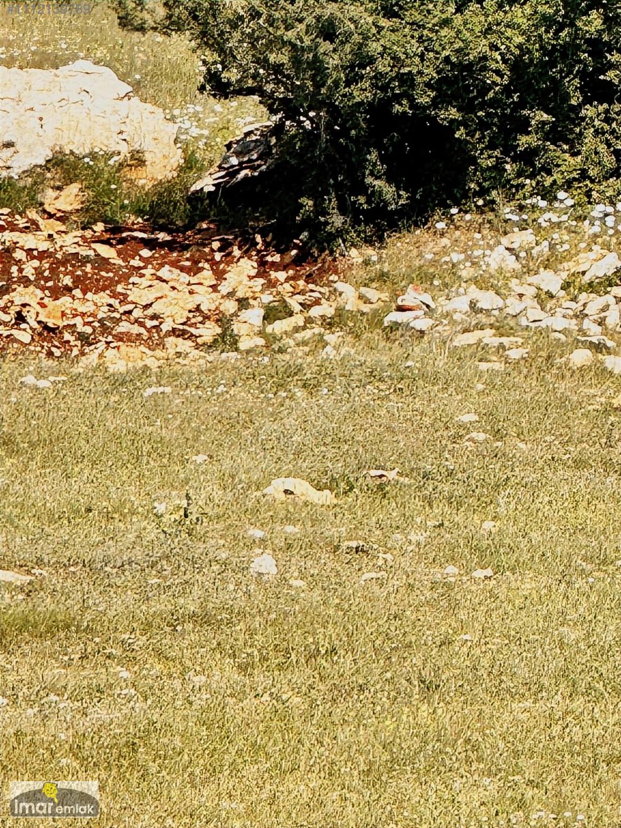 İMAR dan SOĞUCAKTA SATILIK 500 m2 KELEPİR ARSA - MERSİN TOROSLAR fotoğraf 7