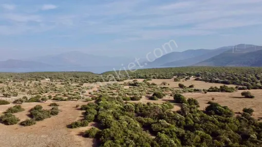 Didim Akyeniköy Balova Mevkiinde Yatırımlık Arsa - AYDIN DİDİM fotoğraf 7
