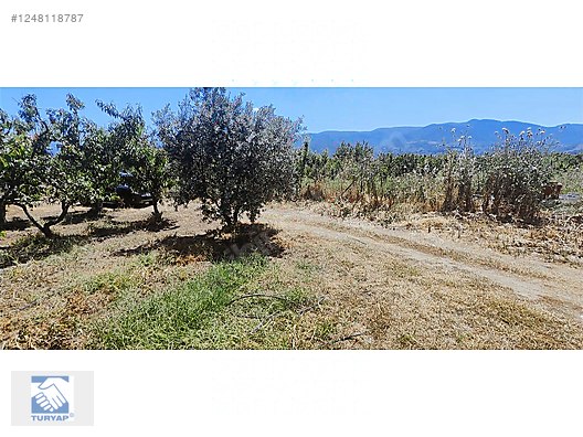 Kemalpaşa Örende 1234 M2 Satılık Müstakil Bahçe - İZMİR KEMALPAŞA fotoğraf 20