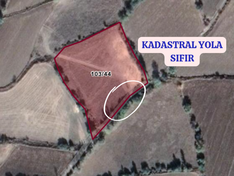 ERZİNCAN  MERKEZ KONAKBAŞI KÖYÜNDE 6.815 M² TARLA SATILIKTIR - ERZİNCAN MERKEZ fotoğraf 4
