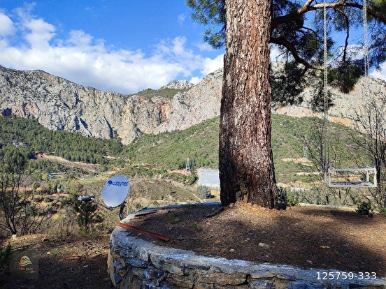 ANAMUR KORUCUKTA MÜSTAKİL SATILIK ZEYTİN VE AVOKADO BAHÇESİ - MERSİN ANAMUR fotoğraf 27