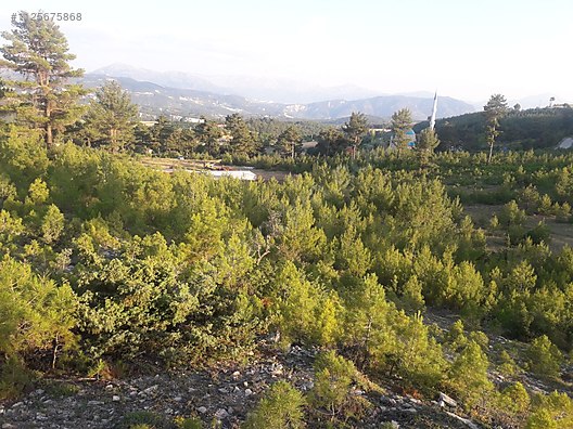DENİZLİ ÇAMELİ KOLAK KÖYÜNDE  686 M²  ARSA SATILIKTIR - DENİZLİ ÇAMELİ fotoğraf 10