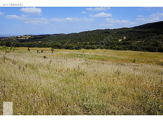 ÇANAKKALE BAYRAMİÇ MURATLAR KÖYÜ 45.000 m2 TARLA - ÇANAKKALE BAYRAMİÇ fotoğraf 7