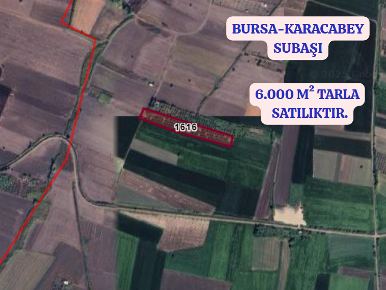 BURSA KARACABEY SUBAŞI KÖYÜNDE 6.000  M² TARLA SATILIKTIR - BURSA KARACABEY fotoğraf 2