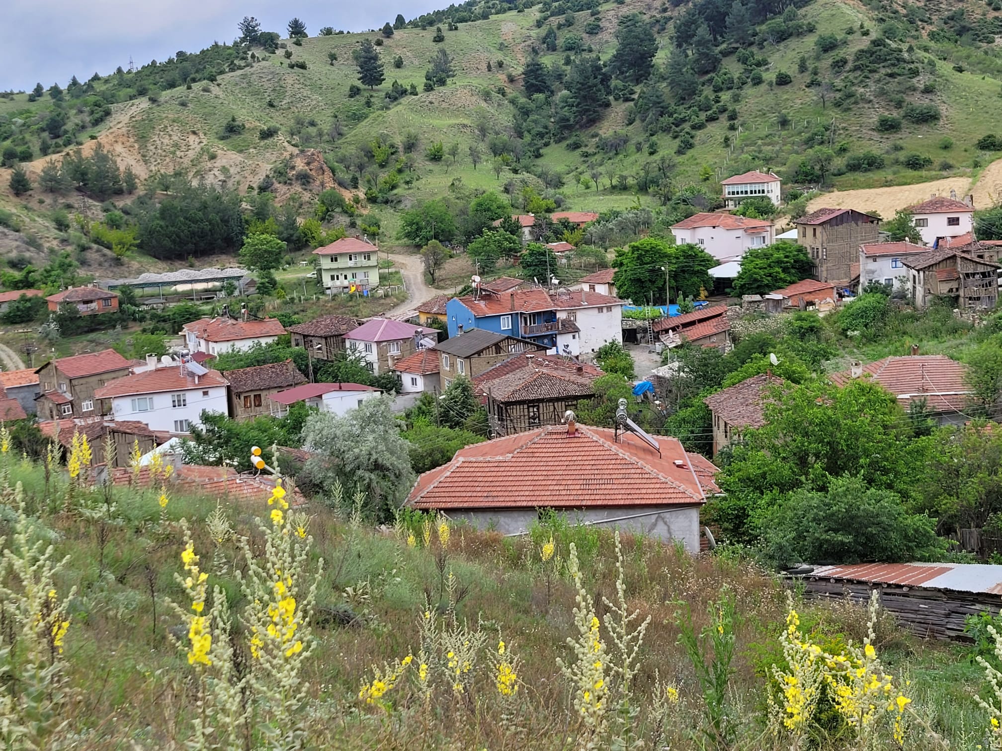 BEKDEMİR KÖYÜNDE MÜKEMMEL KONUMDA KÖY İMARLI ARSA - BİLECİK MERKEZ fotoğraf 5