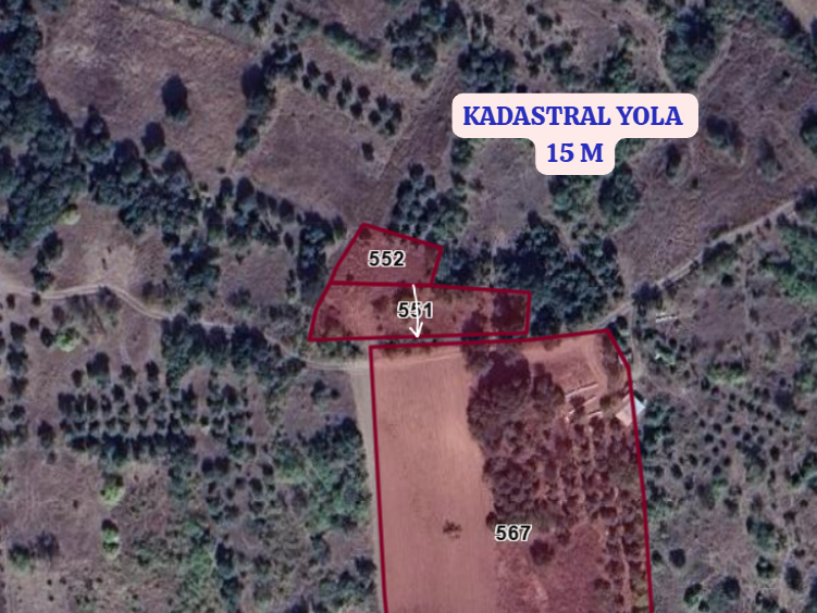 BALIKESİR MANYAS BÖLCEAĞAÇ  KÖYÜNDE 510 M² BAĞ  SATILIKTIR - BALIKESİR MANYAS fotoğraf 3