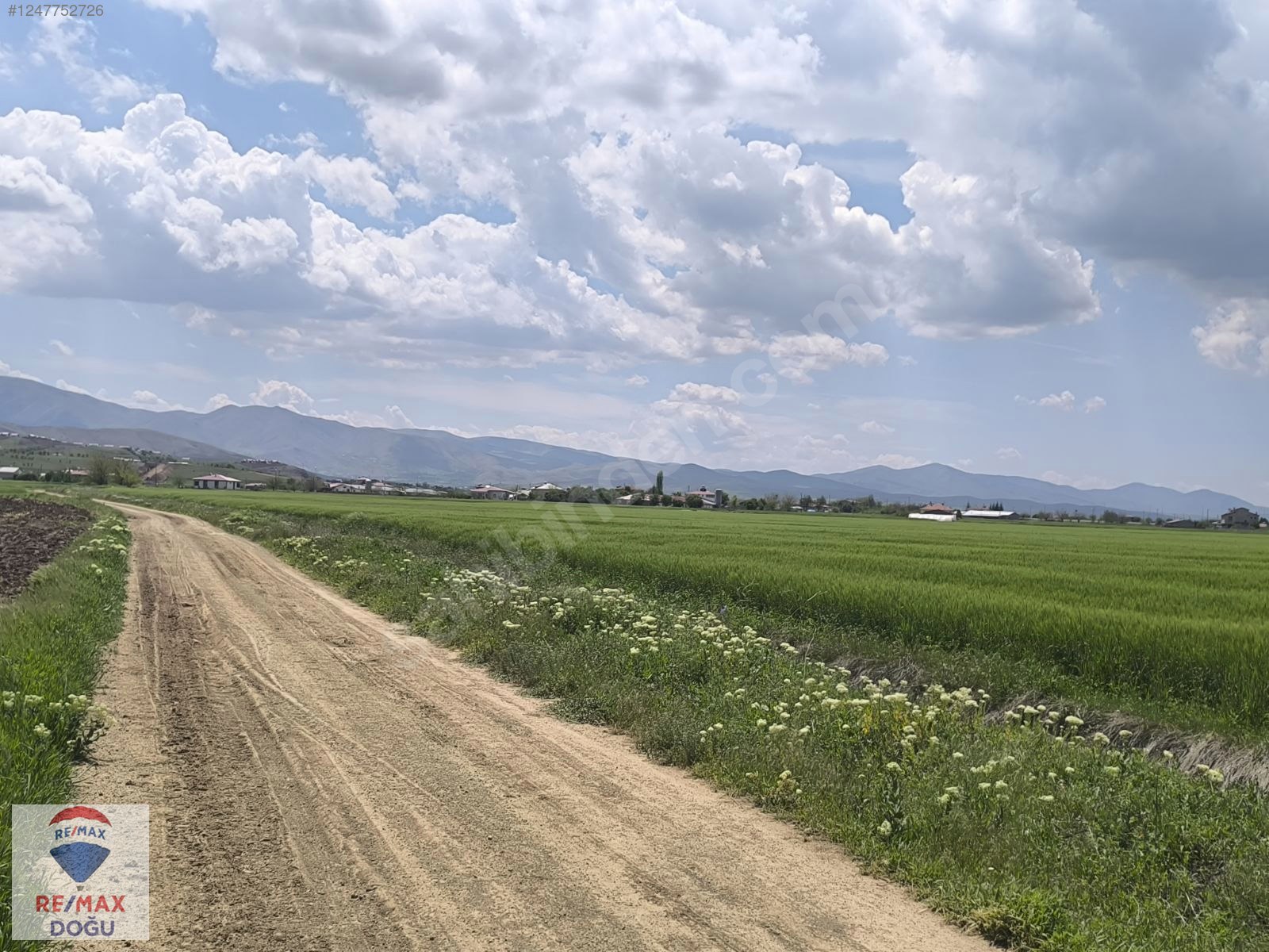 REMAX DOĞUDAN YEDİ GÖZEDE[GERMİLİDE] YATIRIMLIK ARAZİ - ELAZIĞ MERKEZ fotoğraf 7