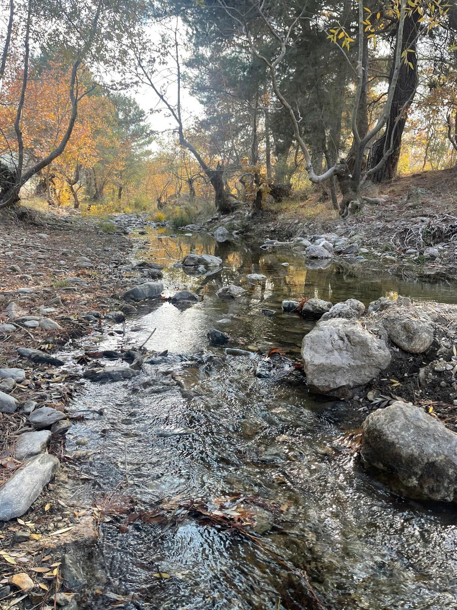 ÇANAKKALE AYVACIK  KÜÇÜKHUSUN'DA 13.388 M²  TARLA  SATILIKTIR. - ÇANAKKALE AYVACIK fotoğraf 5