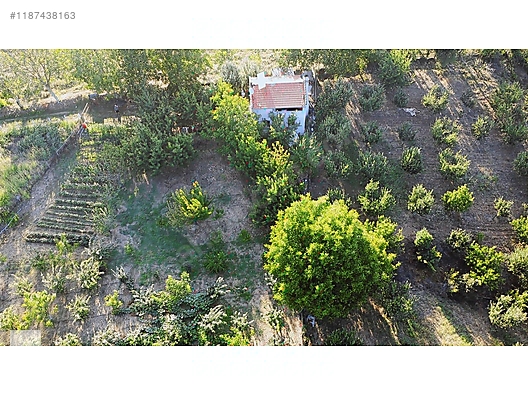 ÇANAKKALE BAYRAMİÇ BEŞİK KÖYÜ 6.900 m2 MEYVA BAHÇESİ 96 m2 EV - ÇANAKKALE BAYRAMİÇ fotoğraf 10