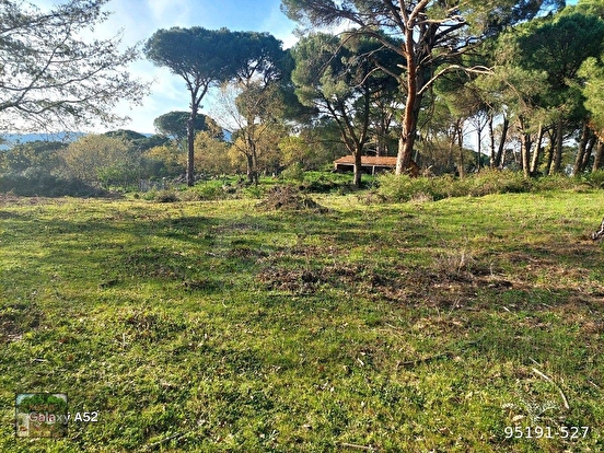 BERGAMA KOZAK YAYLASI YUKARIBEY MAH DE 2700 M2 FISTIKLIK - İZMİR BERGAMA fotoğraf 6