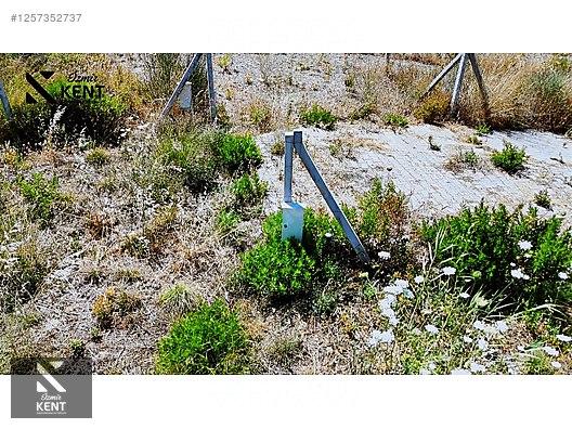 Kemalpaşa Yukarıkızılca Satılık 303 m2 Bahçe Elektrik Su Yol - İZMİR KEMALPAŞA fotoğraf 23