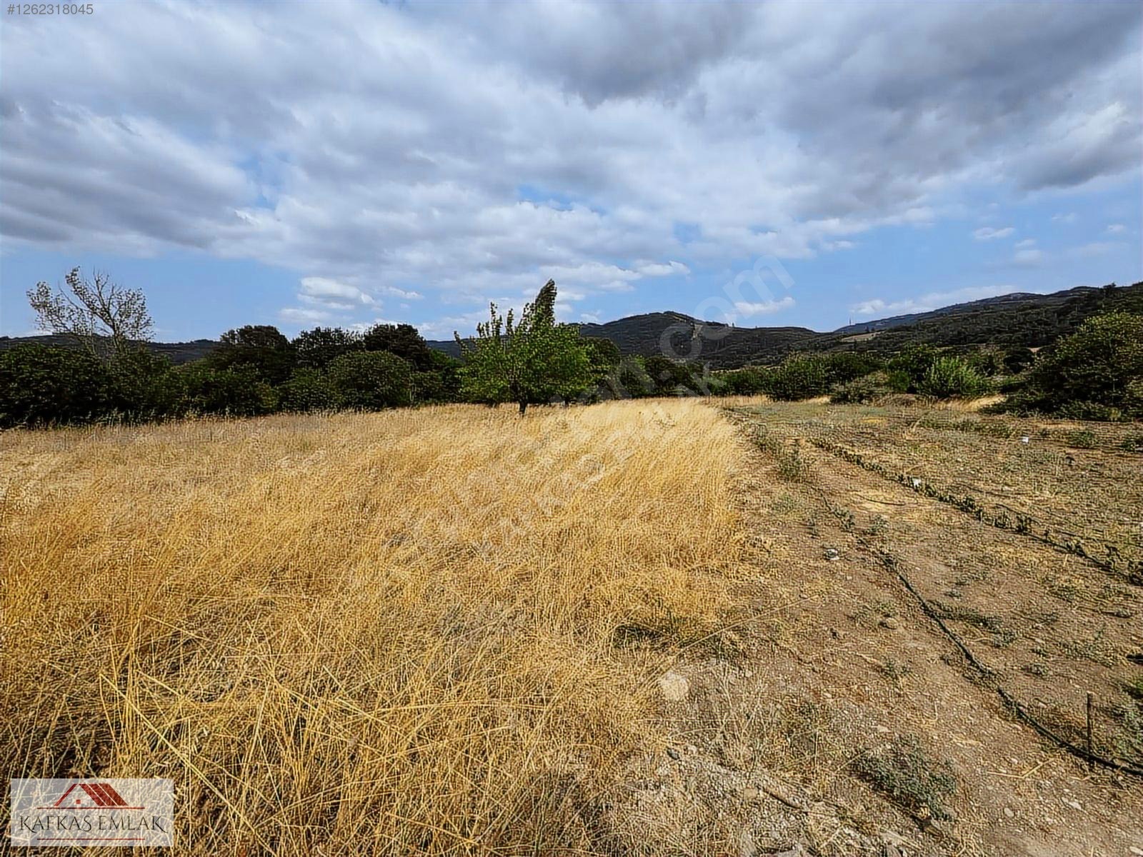 680 M2 HOBİ BAHÇESİ - BURSA MUSTAFAKEMALPAŞA fotoğraf 9
