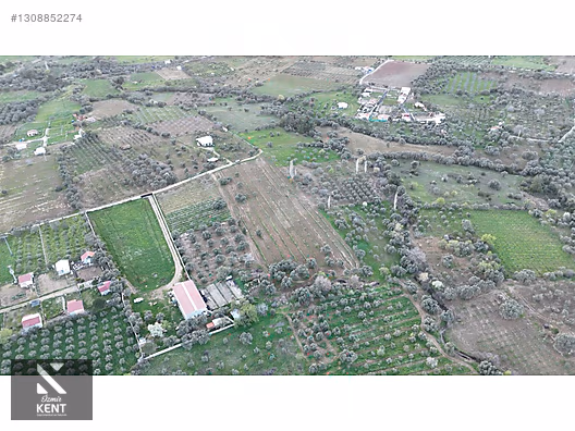 Kemalpaşa Gökyaka Satılık 11.511 m2 Bağ - İZMİR KEMALPAŞA fotoğraf 20