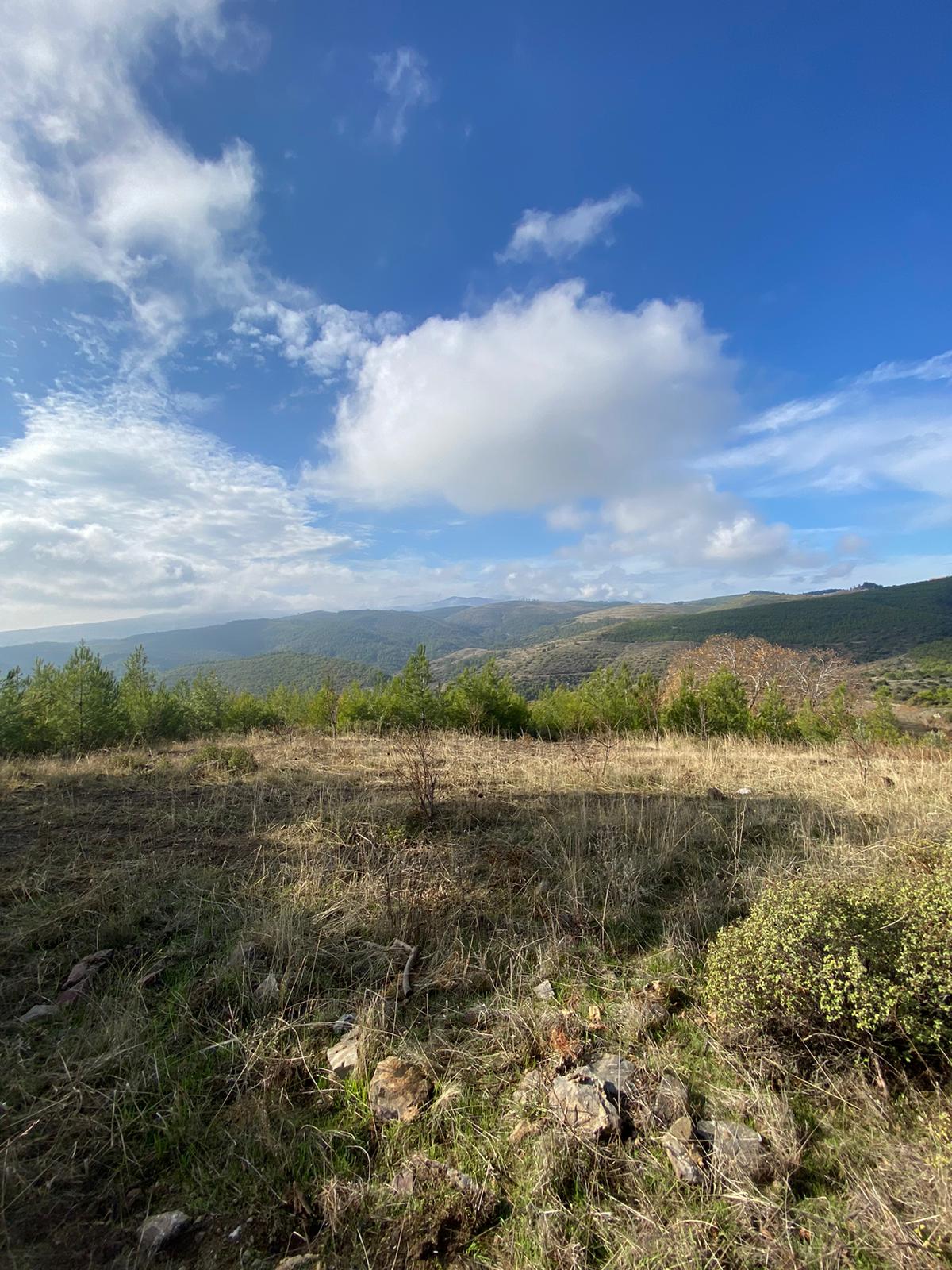 Manisa Yunusemre Büyüksümbüller Mah. Satılık Tarla - MANİSA YUNUSEMRE fotoğraf 8