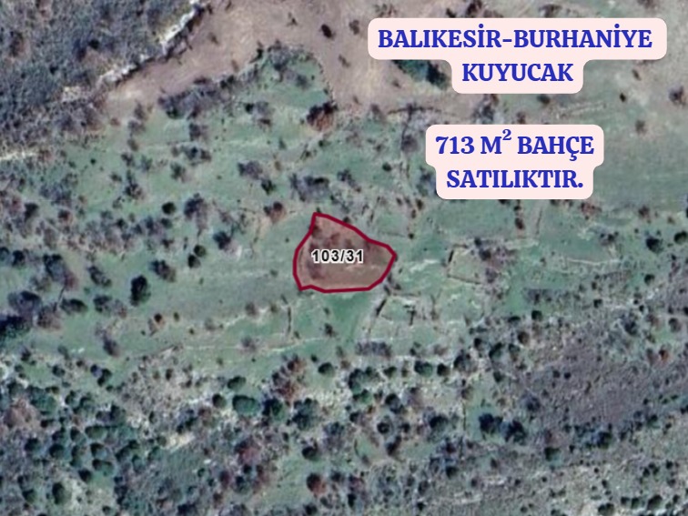 BALIKESİR BURHANİYE  KUYUCAK  KÖYÜNDE 713  M² BAHÇE  SATILIKTIR - BALIKESİR BURHANİYE fotoğraf 2