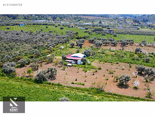 Kemalpaşa Halilbeylide Satılık 3000 m2 Bahçe 40 m2 Ev - İZMİR KEMALPAŞA fotoğraf 33
