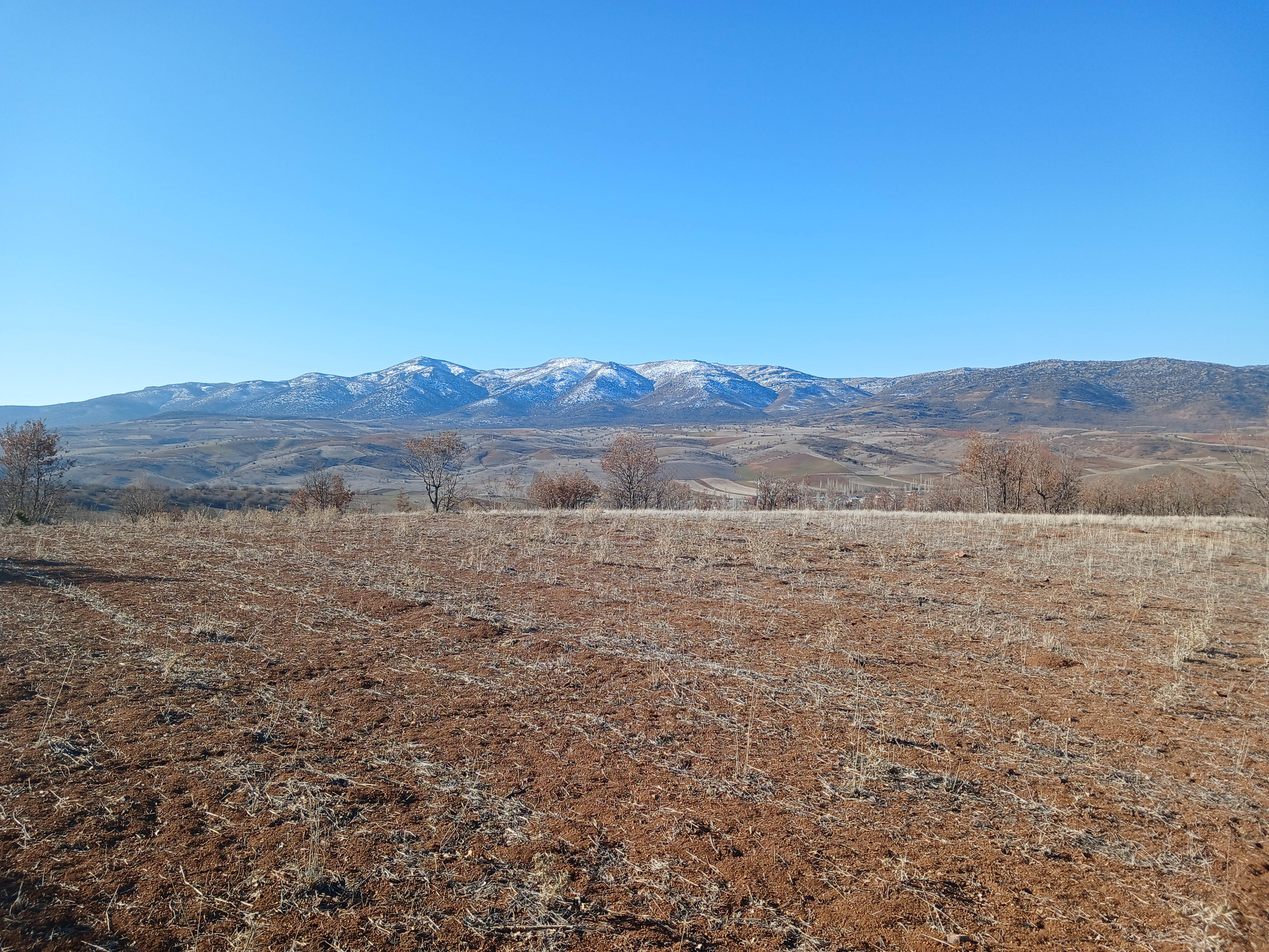 KONYA GÜNEYSINIR KAYAAĞZI KÖYÜNDE 4.477 M²  TARLA SATILIKTIR - KONYA GÜNEYSINIR fotoğraf 7