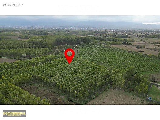 YATIRIM FIRSATI! ERENLER/ŞEYHKÖY MAH. 24.620 M² - SAKARYA ERENLER fotoğraf 12