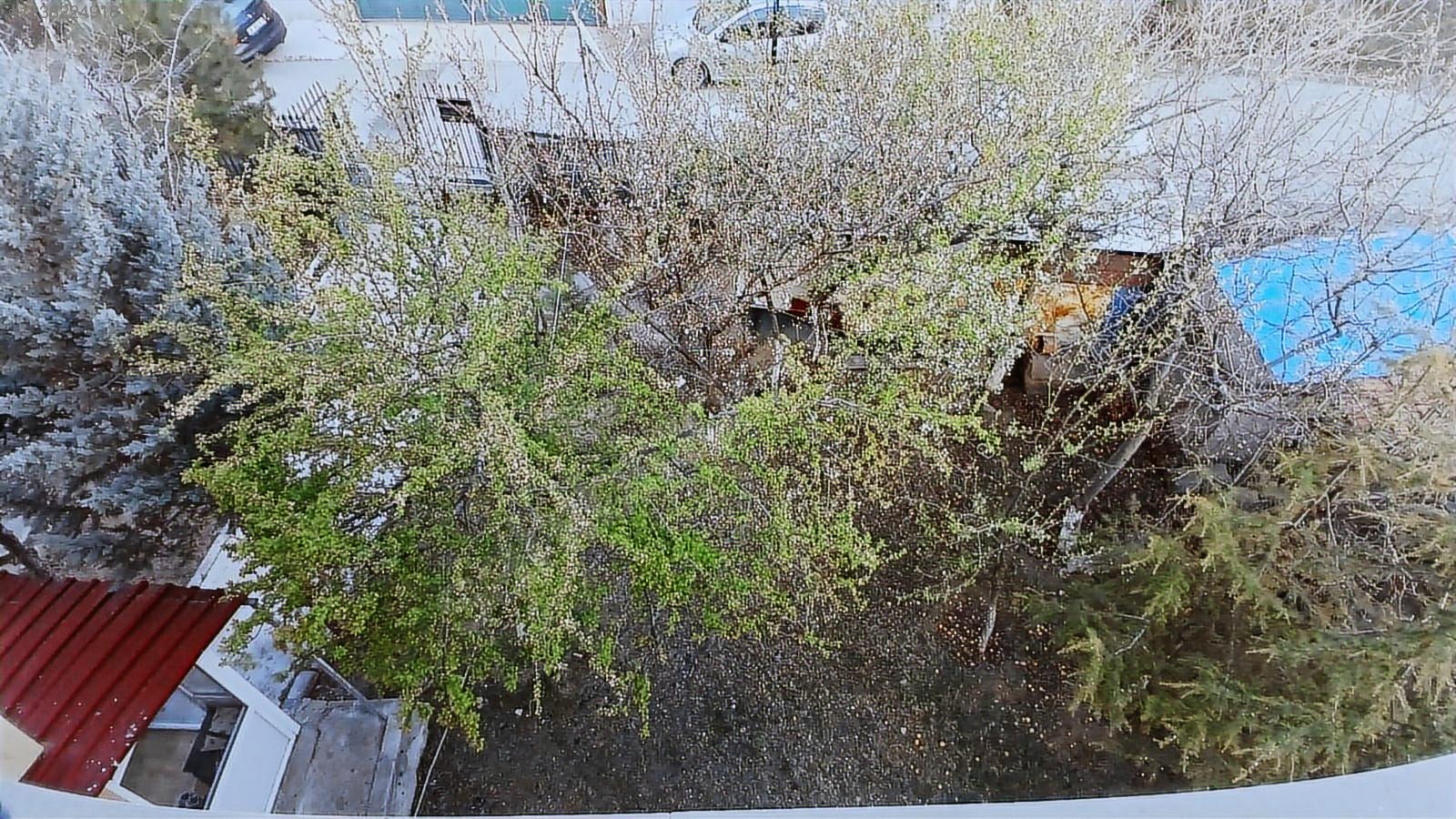 Arsasıyla birlikte Müstakil ev - ANKARA BALA fotoğraf 36