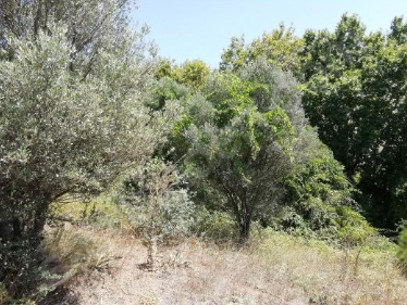 BURSA KARACABEY YEŞİLDERE KÖYÜNDE 3.600 M² TARLA SATILIKTIR - BURSA KARACABEY fotoğraf 6