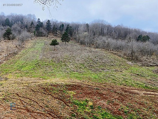 Gölcük İrşadiyede Eriklitepe Yatırımlık Arsa - KOCAELİ GÖLCÜK fotoğraf 20
